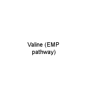 Valine (EMP pathway)